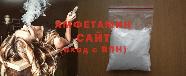 индика Горняк