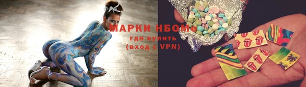 прущие грибы Армянск