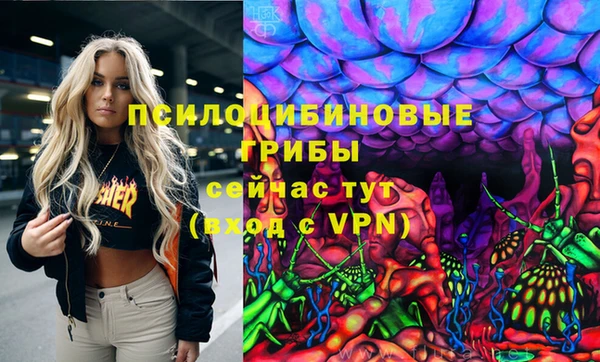 ALPHA PVP Горно-Алтайск