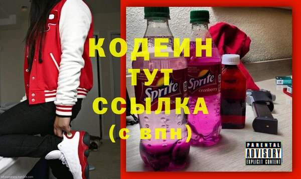 прущие грибы Армянск