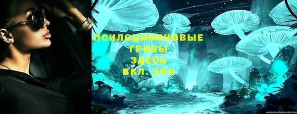мяу мяу мука Аркадак