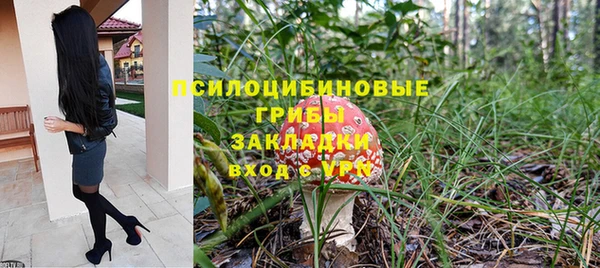 прущие грибы Армянск